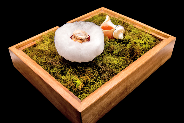 Restaurante 040-LATAM-2017-DISH2